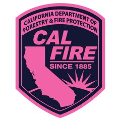 CAL FIRE Cares Patch