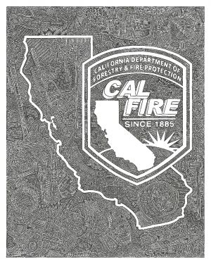 CAL FIRE Viz Art Print